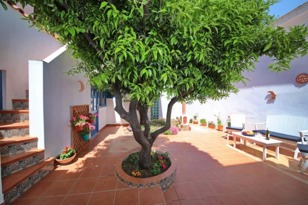 Philoxenia Guest House Città di Skopelos Esterno foto