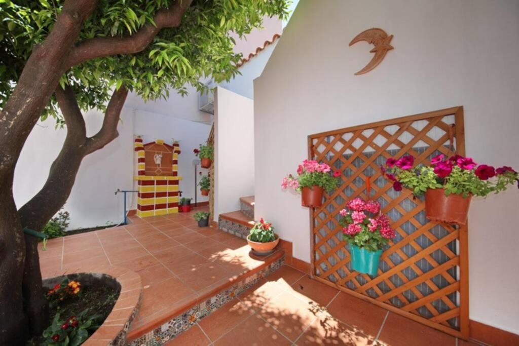 Philoxenia Guest House Città di Skopelos Esterno foto